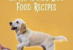 10 Homemade Dog Food Recipes Every Dog Parent Should Know