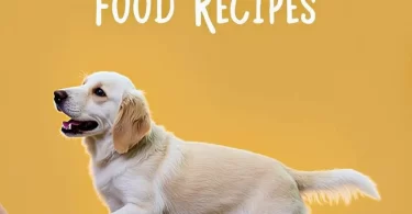 10 Homemade Dog Food Recipes Every Dog Parent Should Know