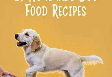 10 Homemade Dog Food Recipes Every Dog Parent Should Know