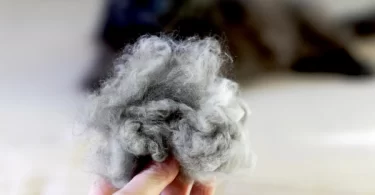 Natural Hairball Remedies for Cats: 10 Safe Ways to Help Your Feline Feel Better