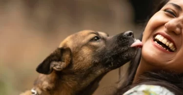 Which Dog Breeds Love Their Humans the Most?