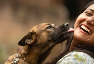 Which Dog Breeds Love Their Humans the Most?
