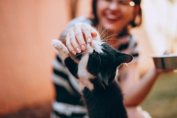 Your Cat Is Bonded to You